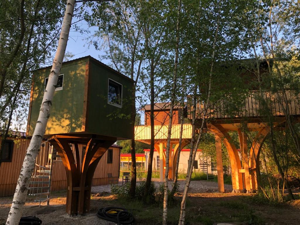 埃尔克海姆Baumhaus - Tiny Haus in der Höhe的森林中间的树屋