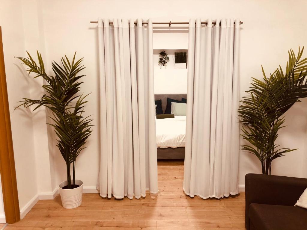特拉维夫Villa Tlv רחוב הירקון 27 תל אביב的一间卧室配有白色窗帘和两株盆栽植物