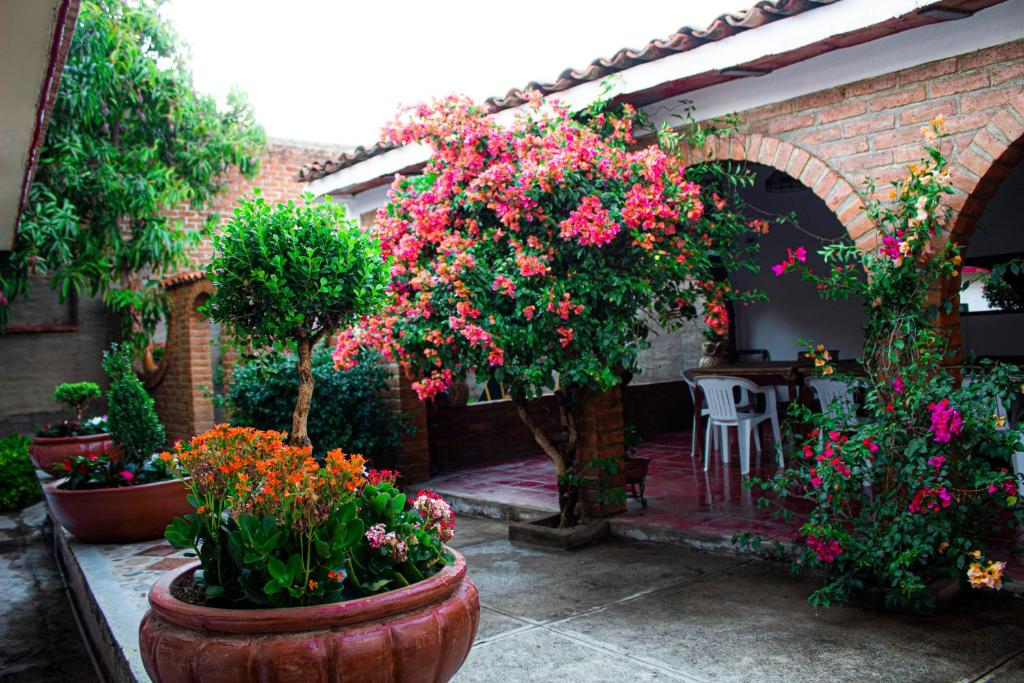 马斯科塔Villa Flores, casa en el centro de Mascota的大盆栽种着鲜花和植物的花园