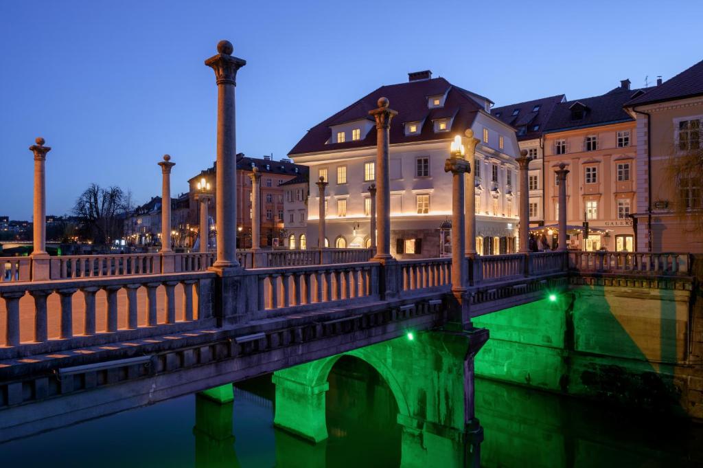 卢布尔雅那Zlata Ladjica Boutique Hotel的一座城市的河上过夜的桥梁