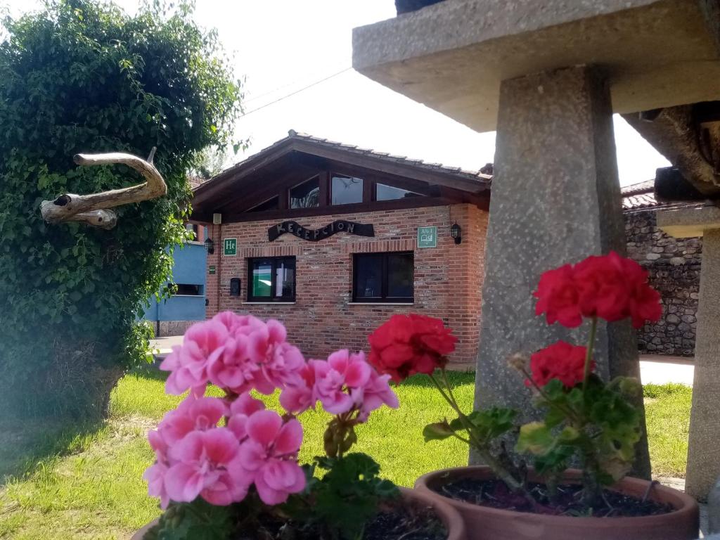 坎加斯-德奥尼斯Hotel Rural Posada Del Monasterio的房子前面的一组花
