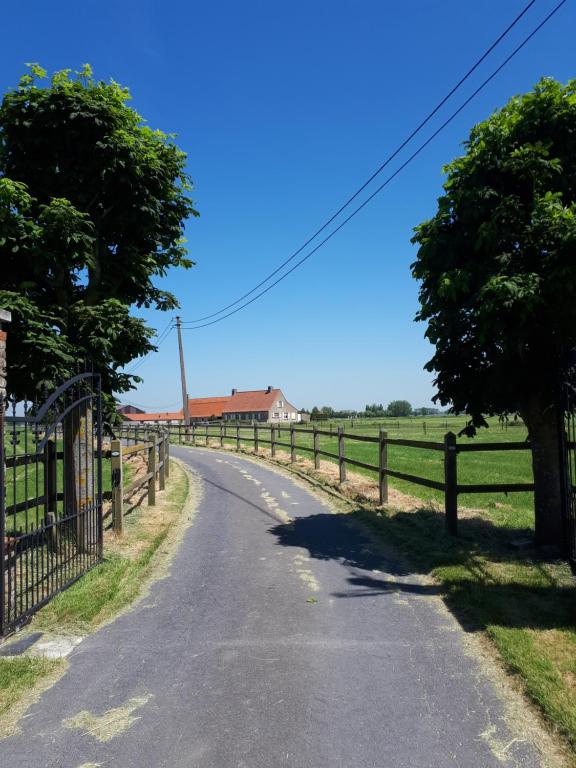 克诺克－海斯特de blinker的一条有栅栏和树木的道路