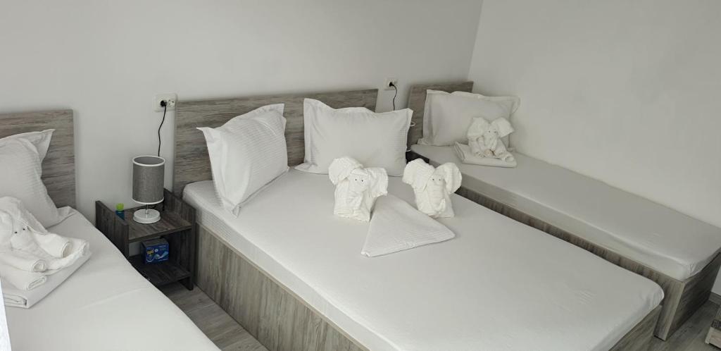 康斯坦察Casa David的白色的床、白色枕头和毛巾
