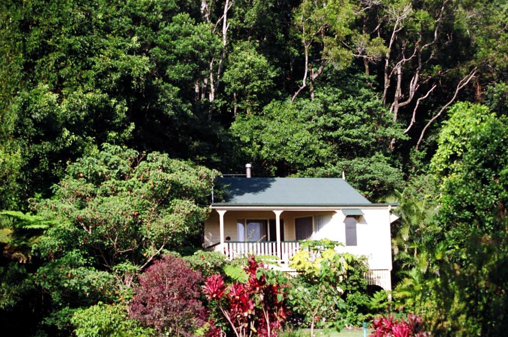 蒙特维尔蒙特维尔瀑布山林小屋的森林中间的白色房子