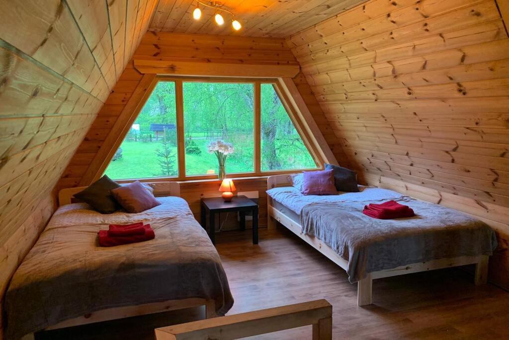 采西斯Pirtsmāja Villa Marta的小木屋内一间卧室,配有两张床