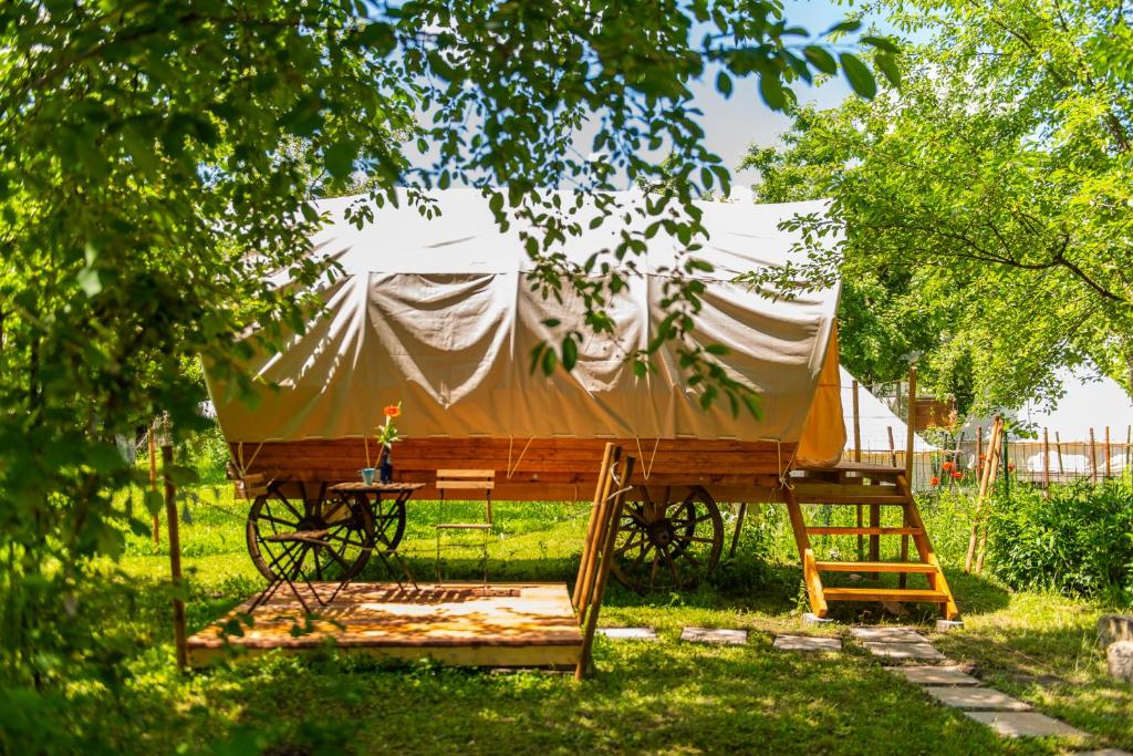 布拉索夫Dragonfly Gardens - The Wagons的田野木车上的帐篷
