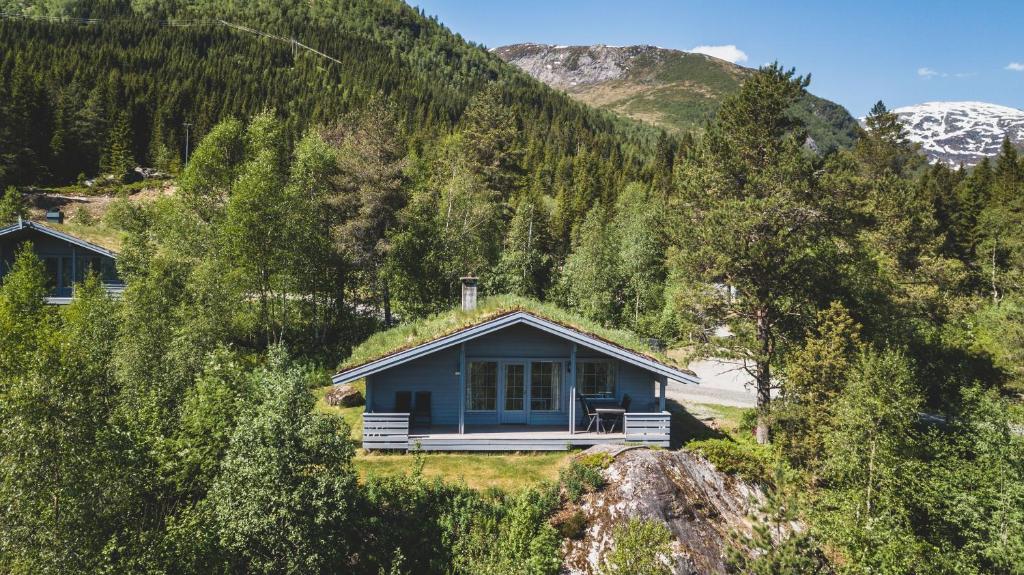 Årdal耶尔斯特里阿海特顿酒店的山中蓝色的房子