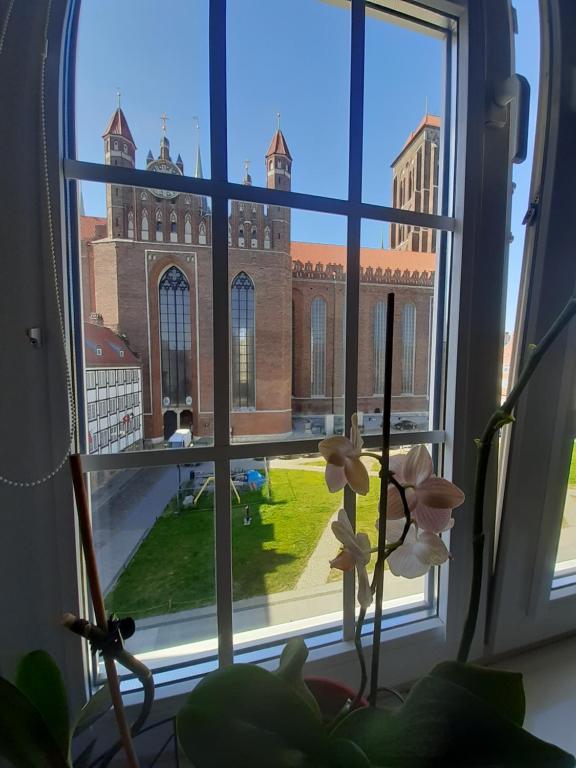 格但斯克Apartment in Old Town - view of Mariacki Church的享有锡拉库扎大学景致的窗户