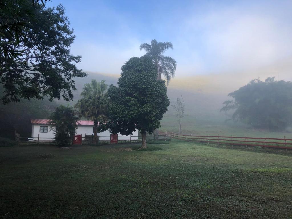 康赛瓦托利亚Vivenda dos Guaranys - uma imersão na natureza - Loft的田野中的一棵树,有栅栏和房子