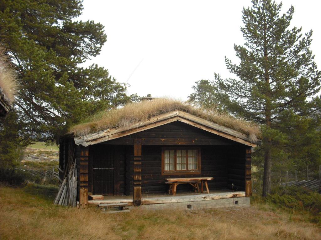黑达尔卢萨特小木屋酒店的一个带草屋顶的小小屋,配有野餐桌