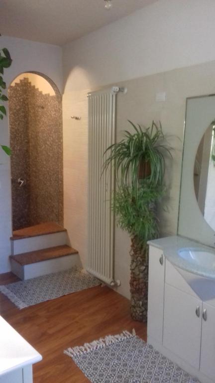 布伦托尼科Casa Criss的浴室设有水槽、镜子和植物