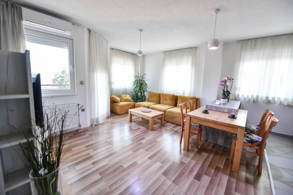 科查尼Exclusive 7- New Modern Cozy Apartment的客厅配有沙发和桌子