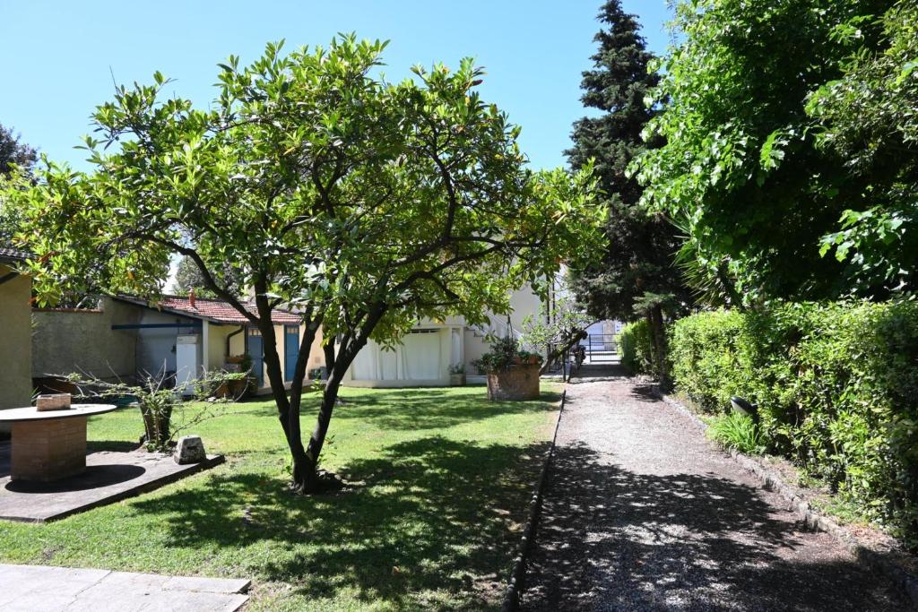 彼得拉桑塔Il Pozzetto Home Resort的一座有树和人行道的院子