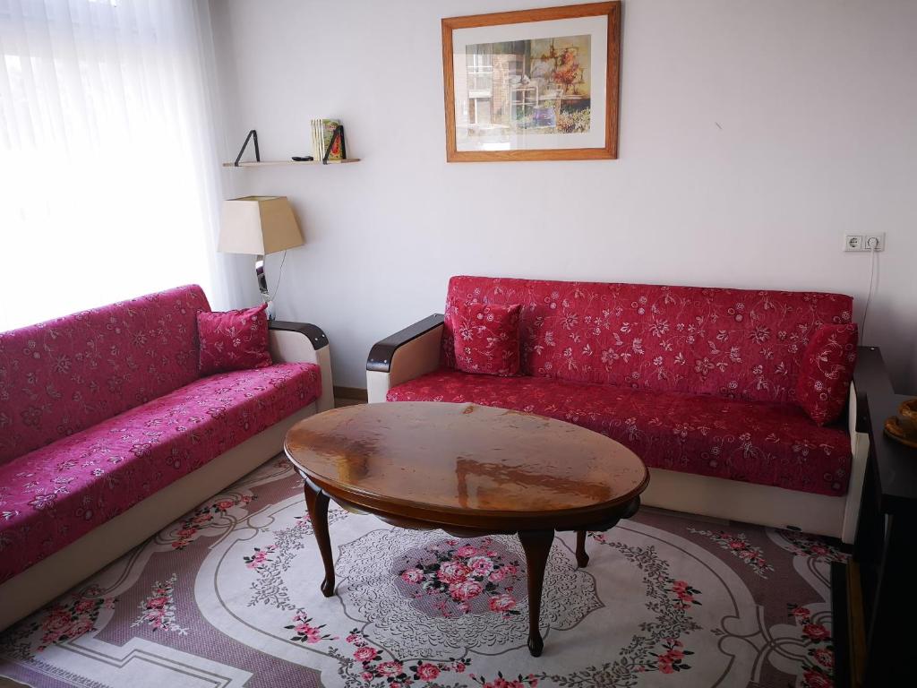 迪温特Studio Huzur的客厅配有红色的沙发和桌子