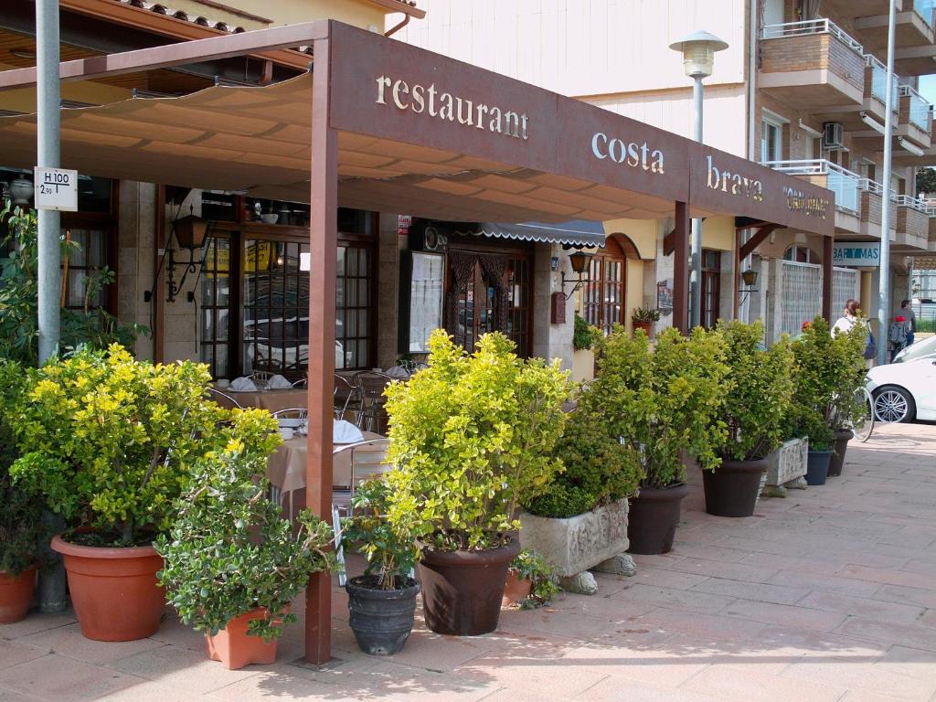 圣安东尼奥·德·卡隆布拉瓦海岸旅馆的楼前有盆栽植物的餐厅