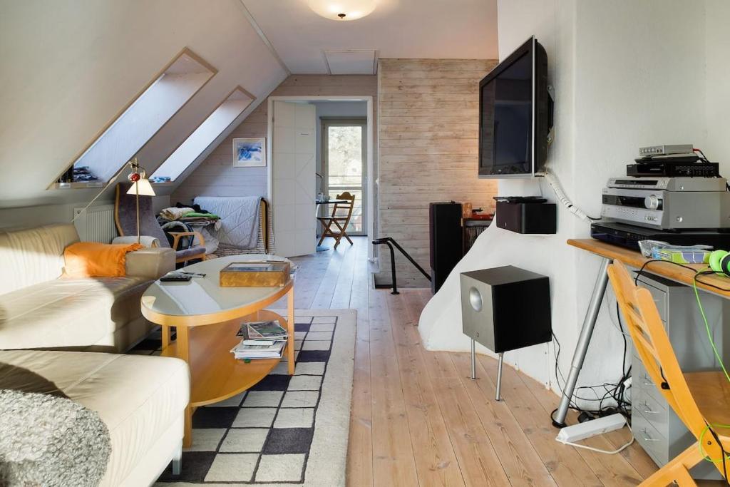 斯德哥尔摩Pink House Room#1 Stockholm的带沙发和电视的客厅