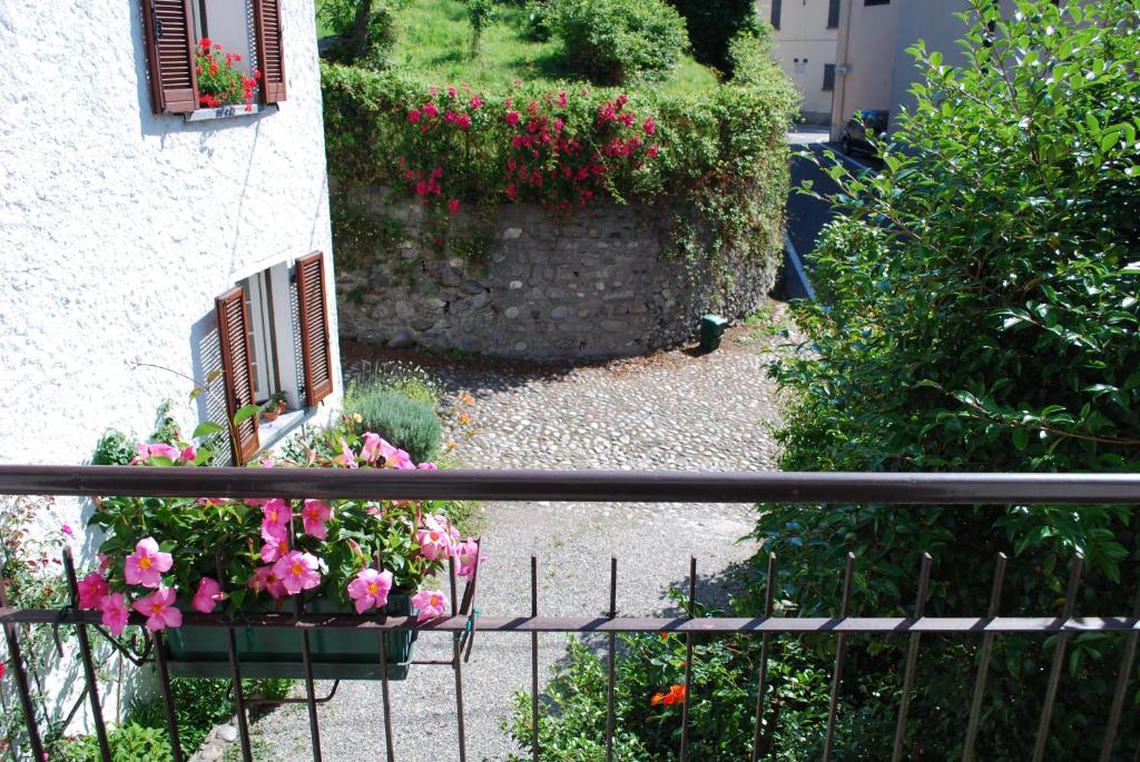 塞斯托卡伦德La casetta del nonno Giampi的享有鲜花花园和建筑的景色