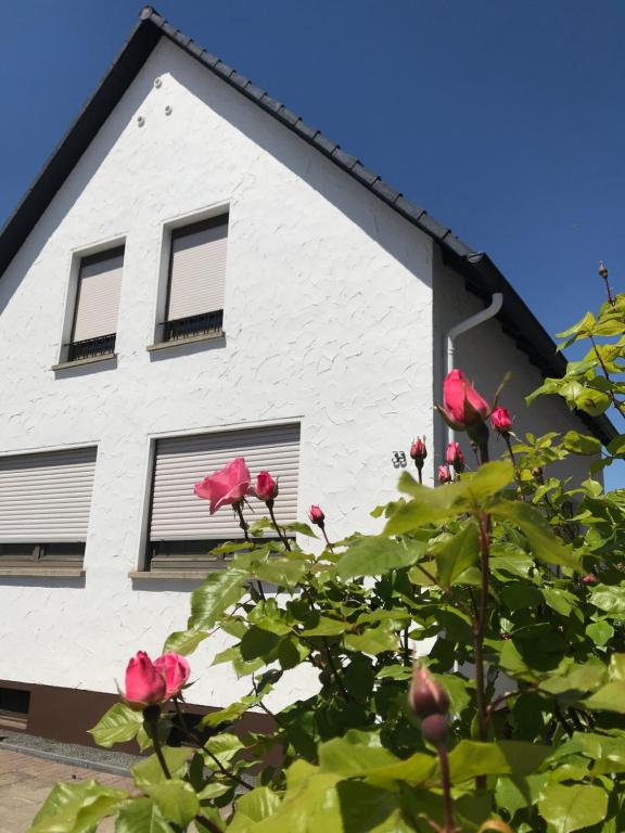 哈斯洛赫Ferienhaus Riesling的白色的房子,有窗户,有一棵玫瑰树