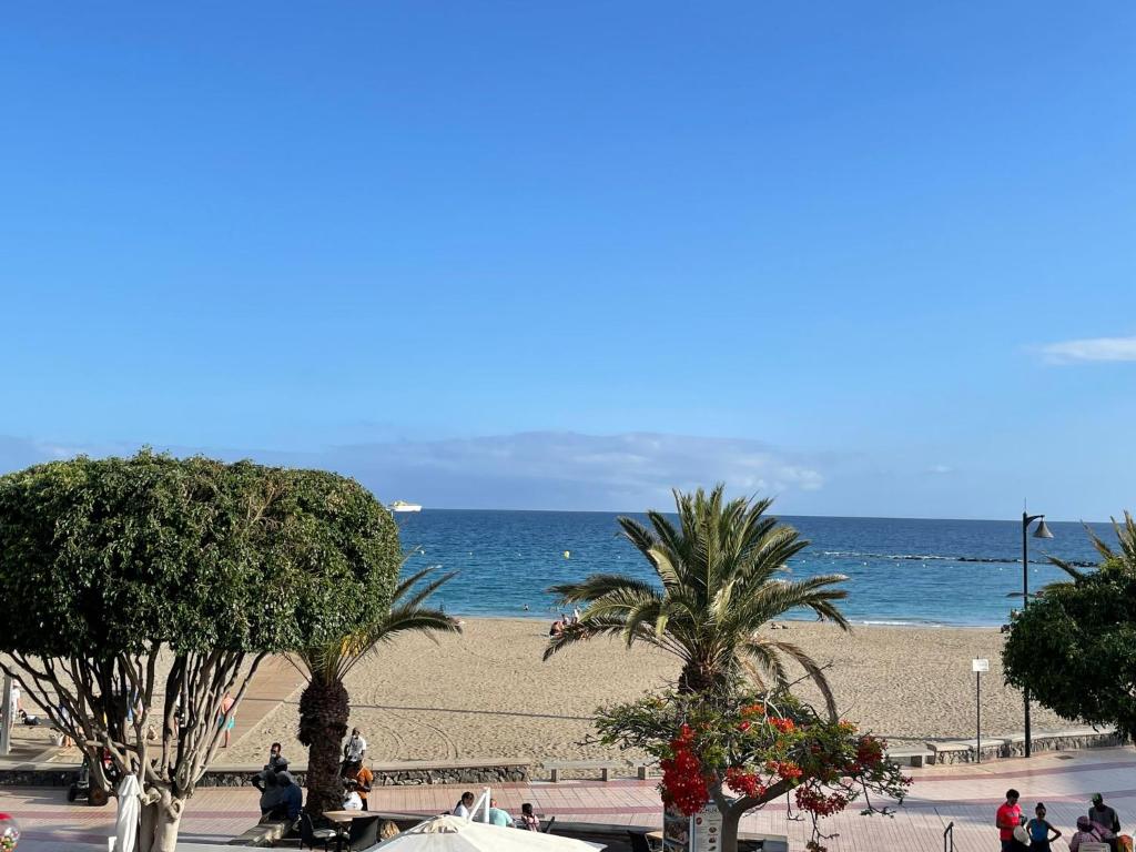 阿罗纳Playa de las Vistas Los Cristianos WIFI BEACH VIEW的棕榈树海滩和海洋