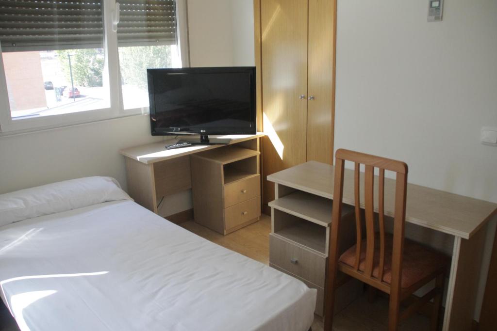 布尔戈斯HOSTAL FRANCISCO SALINAS的一间卧室配有一张床和一张书桌及电视