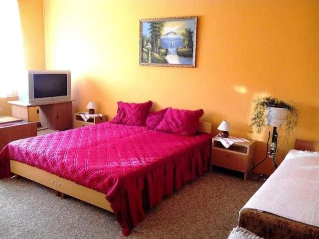 KőröshegyPrivát, saját fürdős, erkélyes szoba a Balatonon的卧室配有粉红色的床和电视。