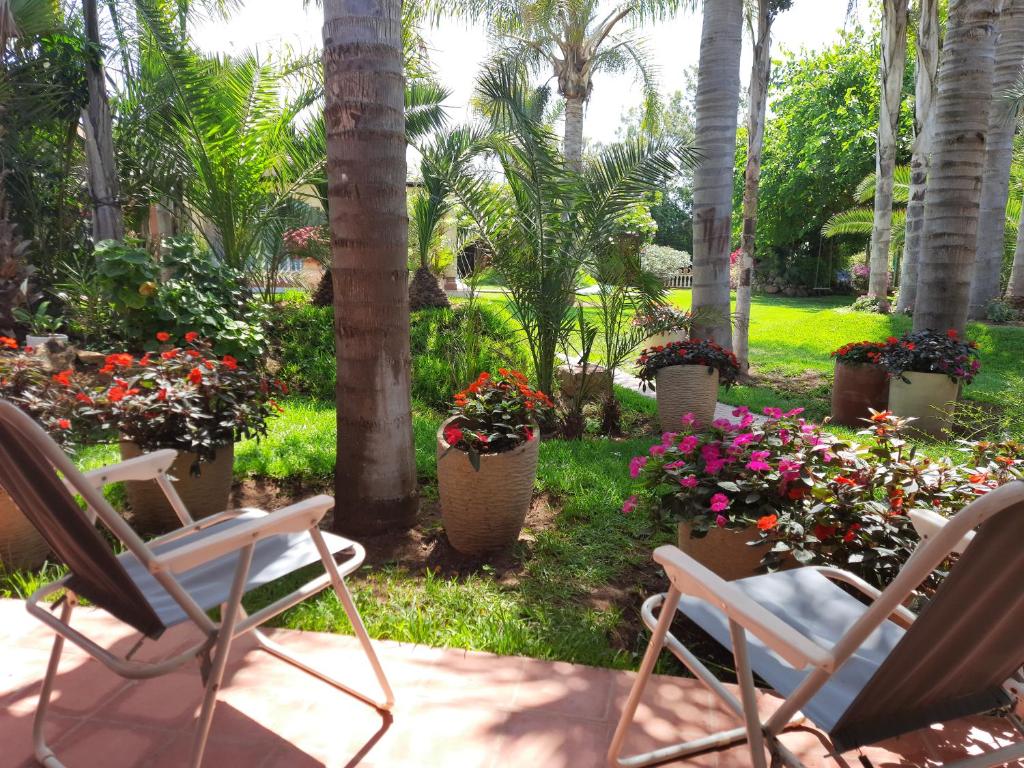 斯希拉特Palmeraie skhirat 2的棕榈树庭院里的两把椅子和鲜花