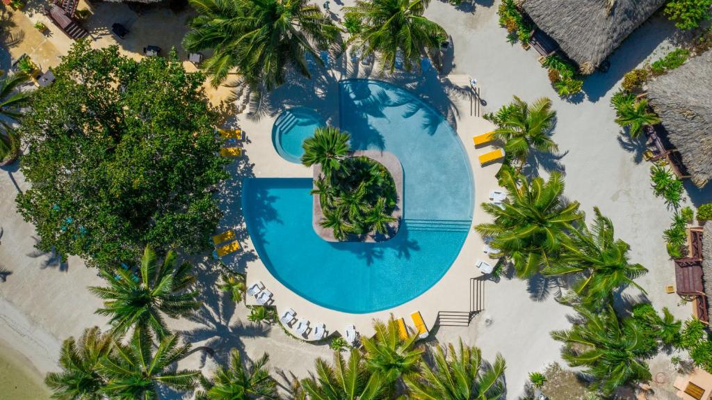 圣佩德罗波托菲诺海滩度假酒店的享有棕榈树游泳池的顶部景致