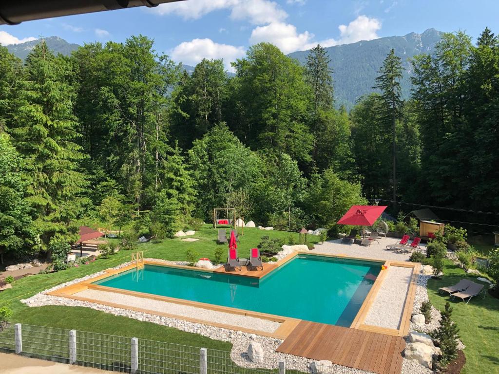 格赖瑙拜仁度假酒店（仅限成人入住）的享有庭院游泳池的顶部景色