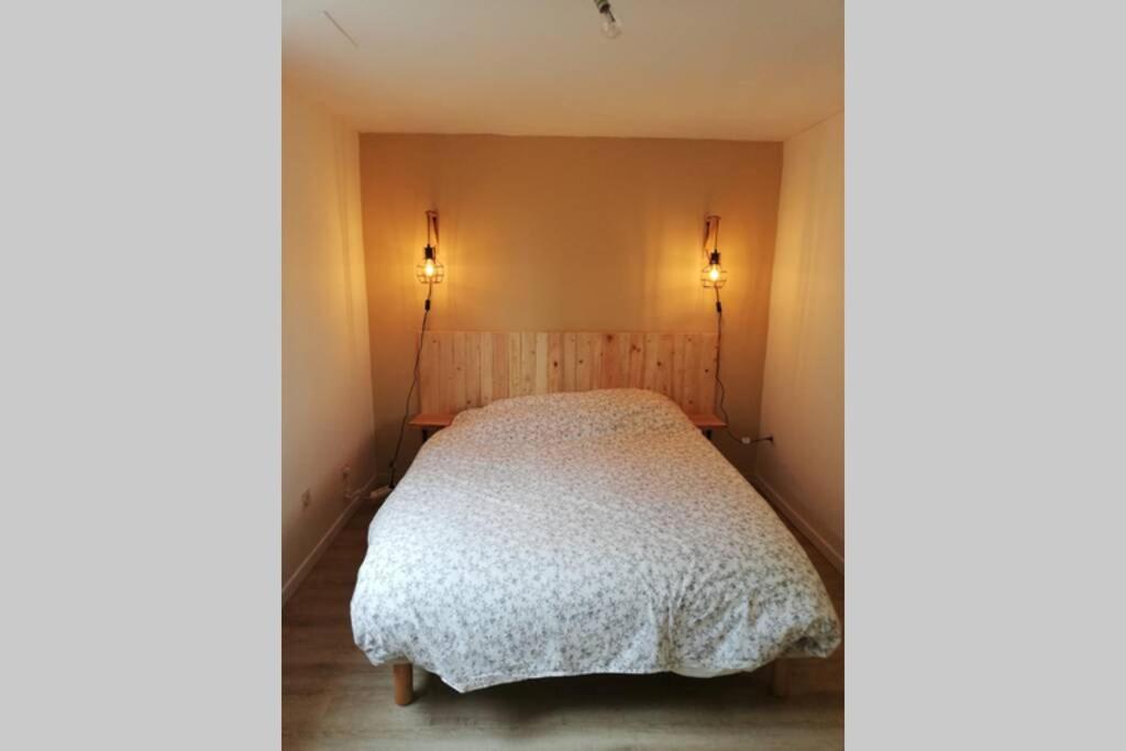 罗德兹studio avec jardin à Rodez的卧室配有一张带两盏灯的墙壁床。