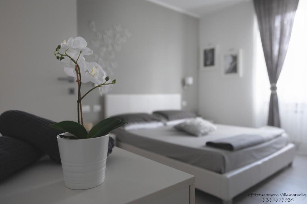 斯培西亚马塞拉旅馆的一间设有两张床的房间和一张桌子上的盆栽植物