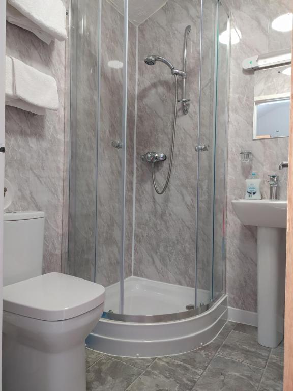兰迪德诺Frosty Towers的带淋浴、卫生间和盥洗盆的浴室