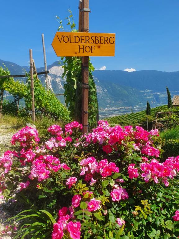 科尔塔恰Voldersberghof的粉红色花卉葡萄园的标志