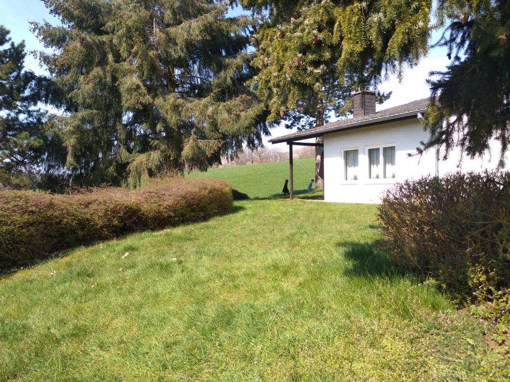 比尔斯多夫Maja am See的白色的房子,有树和院子