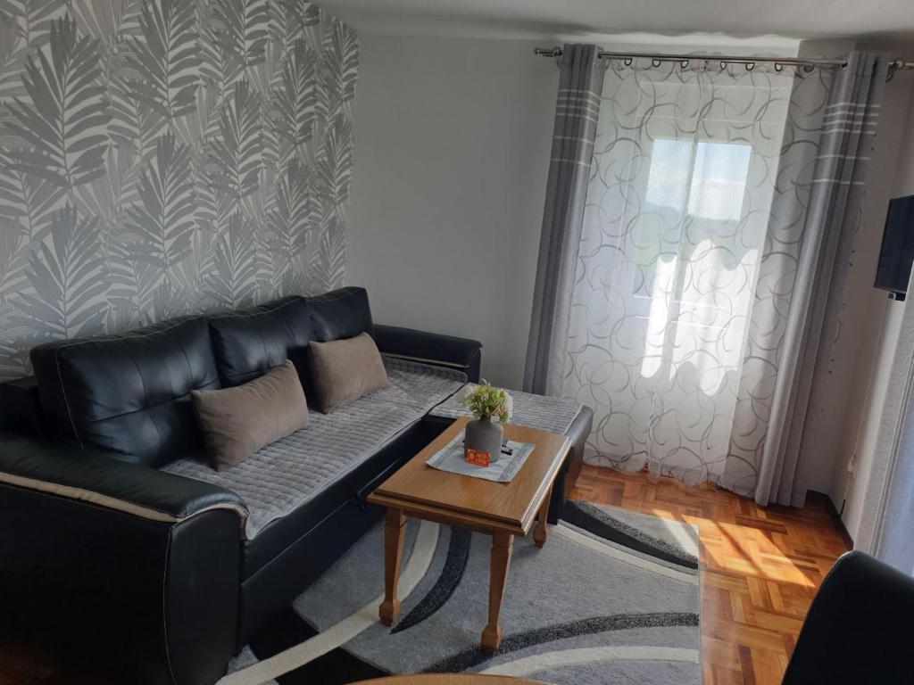 索科矿泉村Lux Apartman Ristić 1的客厅配有黑色真皮沙发和桌子