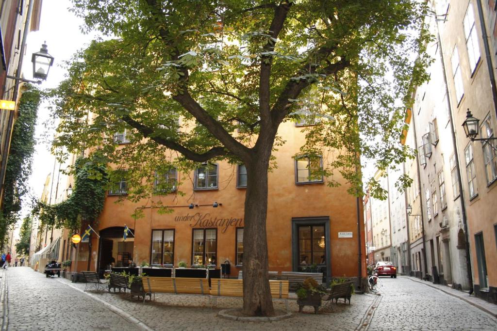 斯德哥尔摩栗花老城旅馆的街道上建筑物前面的树