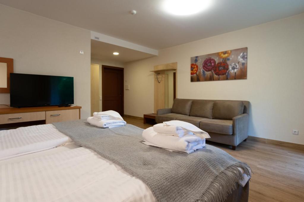 德鲁斯基宁凯Senasis Nemunas的酒店客房,设有两张床和一张沙发