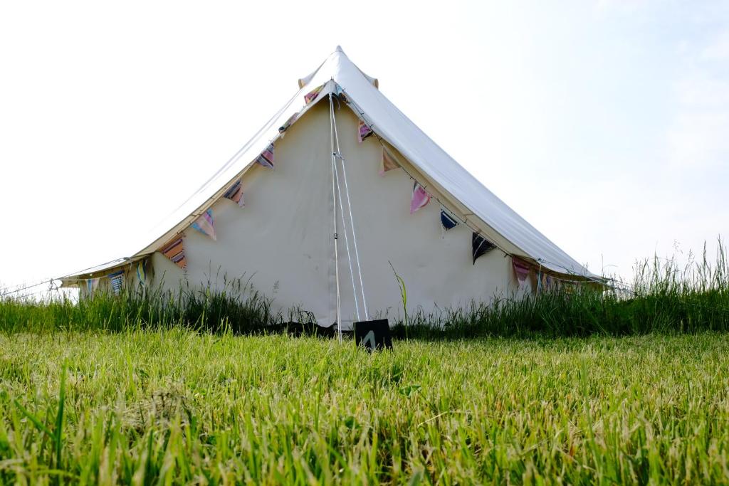 约克Freespirit Glamping的草场上的一个白色大帐篷