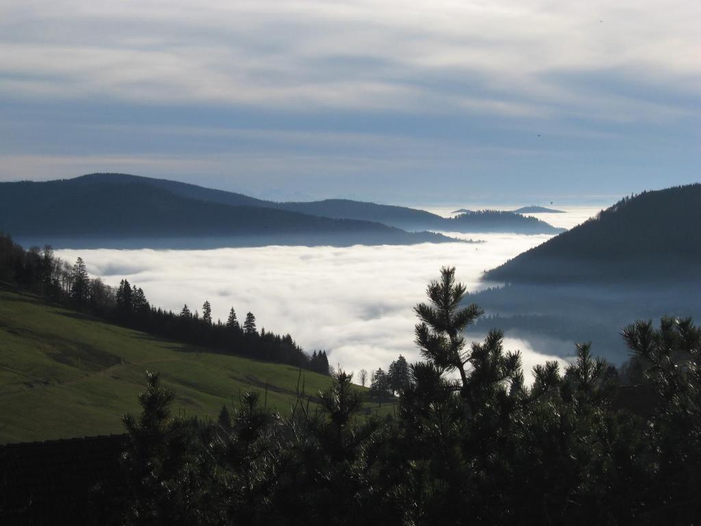 托特瑙Schöne Aussicht的享有树木和山脉的雾 ⁇ 山谷美景