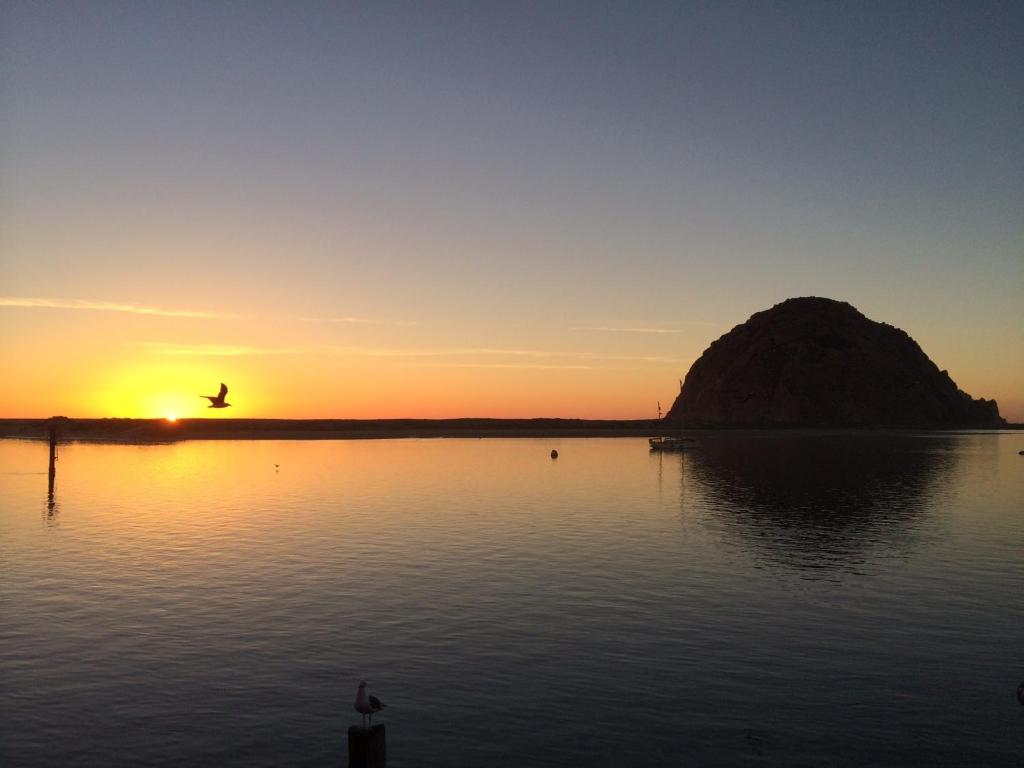 莫罗贝莫罗贝日落汽车旅馆的鸟在日落时分飞过水体