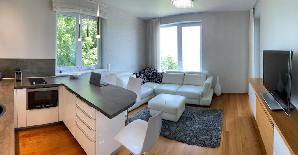 蒂豪尼Marcelo Deluxe Apartment的带沙发的客厅和带桌子的厨房