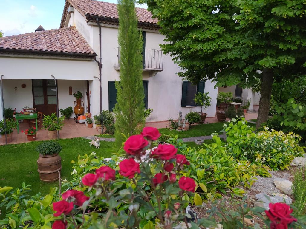 罗通达Al Vecchio Camino的一座花园,在房子前面有红玫瑰