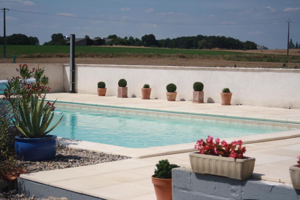 蒙夫朗屈安Bouye Gite Accommodation的墙上有盆栽植物的游泳池