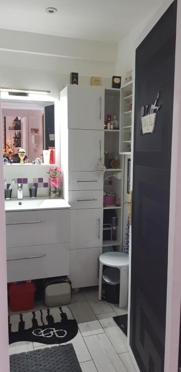 尼斯CHAMBRE CHEZ L'HABITANT - ROOM IN THE OWNER'S APARTMENT的一间带水槽和镜子的浴室