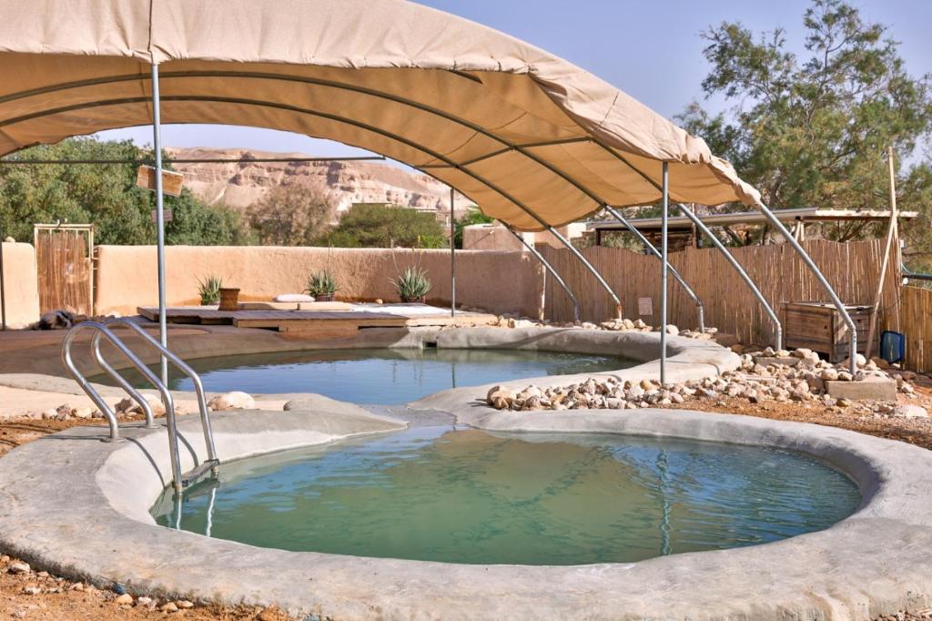 祖奇姆Desert Days mud cabin's Resort的庭院内带遮阳伞的小型游泳池