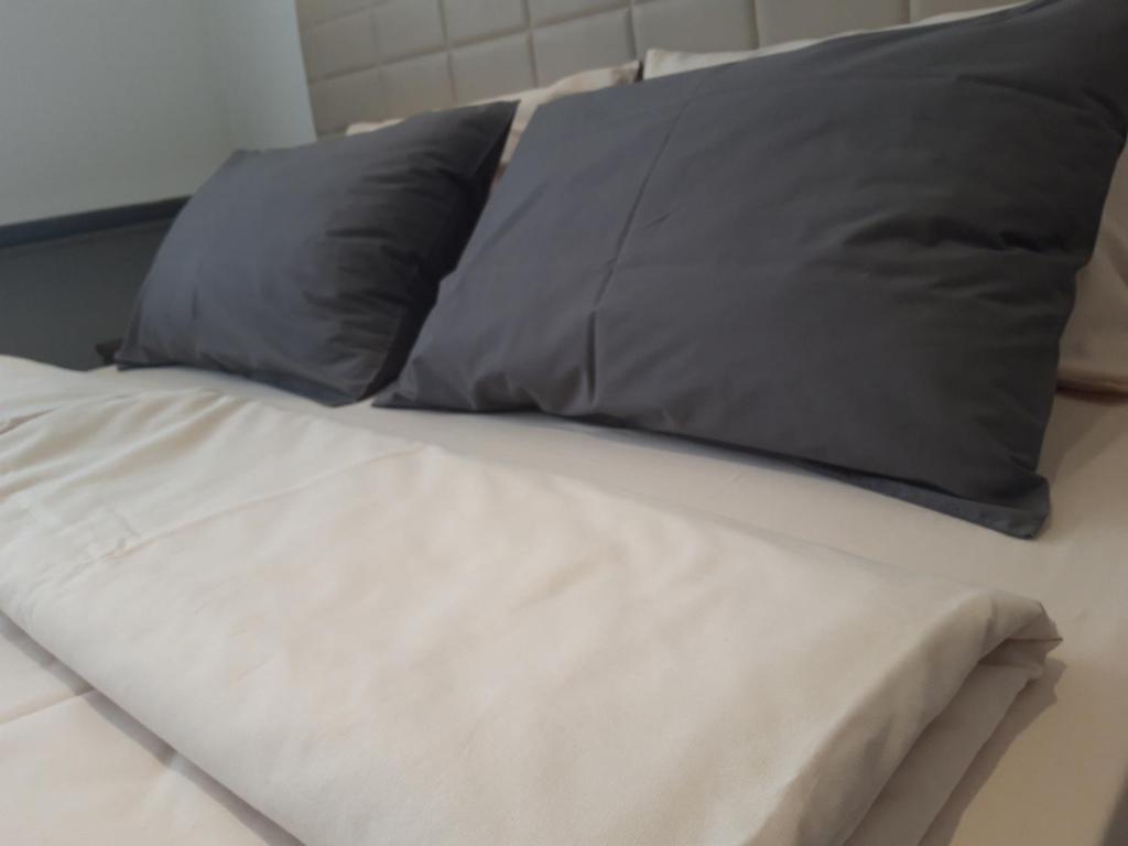 斯科普里5 STAR CENTRAL STUDIO的床上有两个灰色枕头
