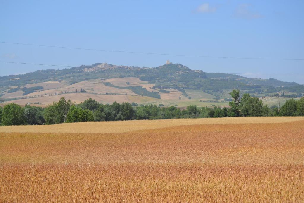皮恩扎Valdorcia Belvedere b&b的一片棕色的草地,山丘背景
