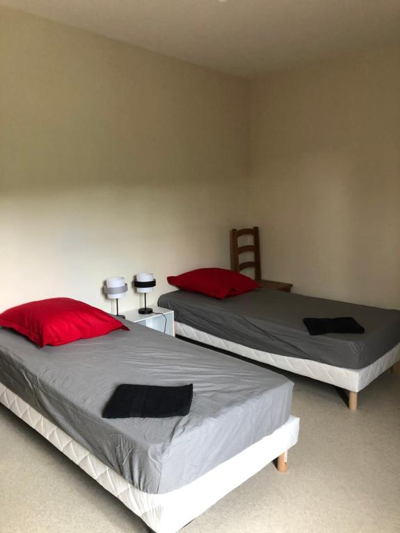 孔克Gîte d'étape Chez François的卧室内的两张床和红色枕头