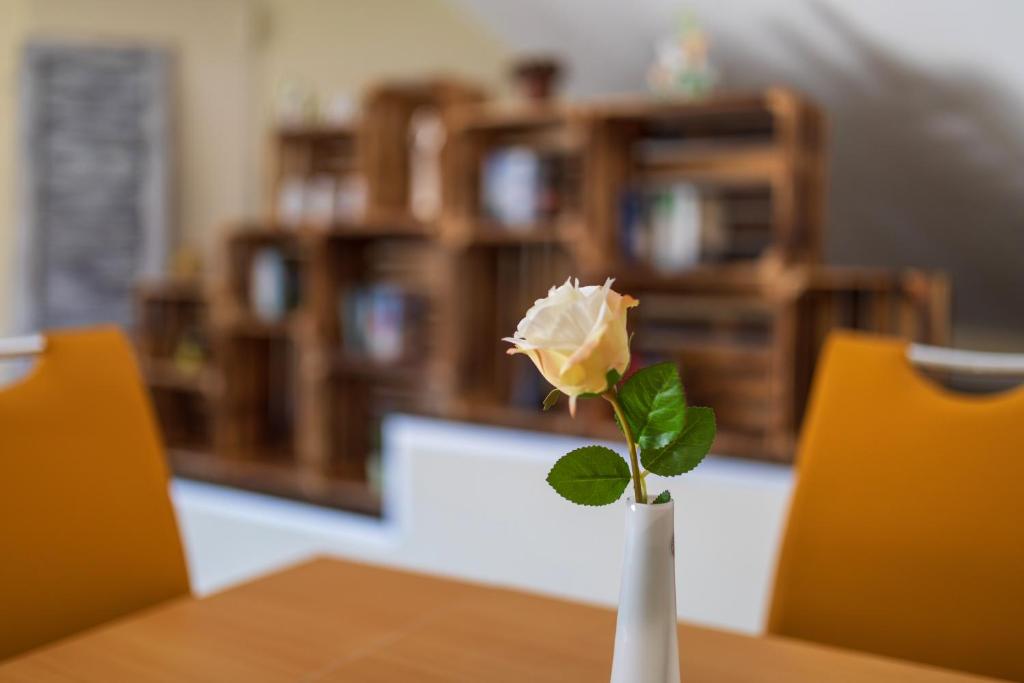 GillenfeldLandhotel Gillenfelder Hof的一张桌子上白色花瓶上的白玫瑰