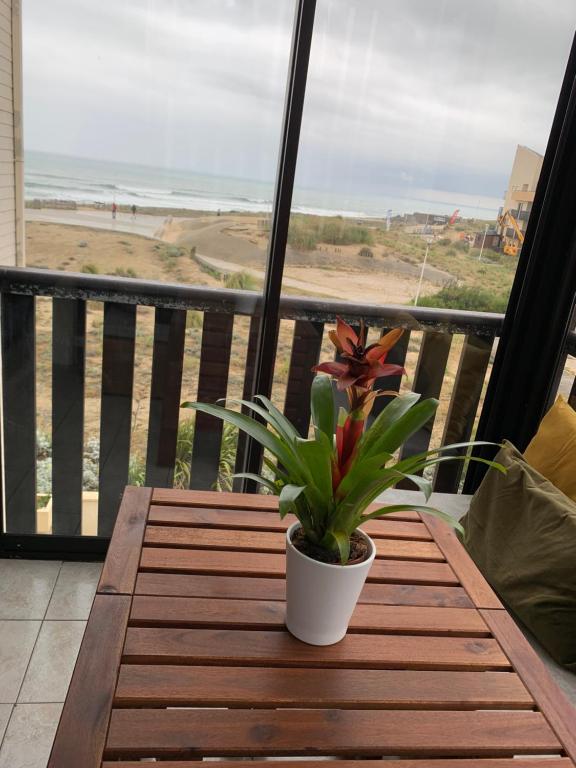 拉卡诺奥肯Appartement vue sur mer, 30m de la plage的坐在阳台上木桌旁的盆栽植物