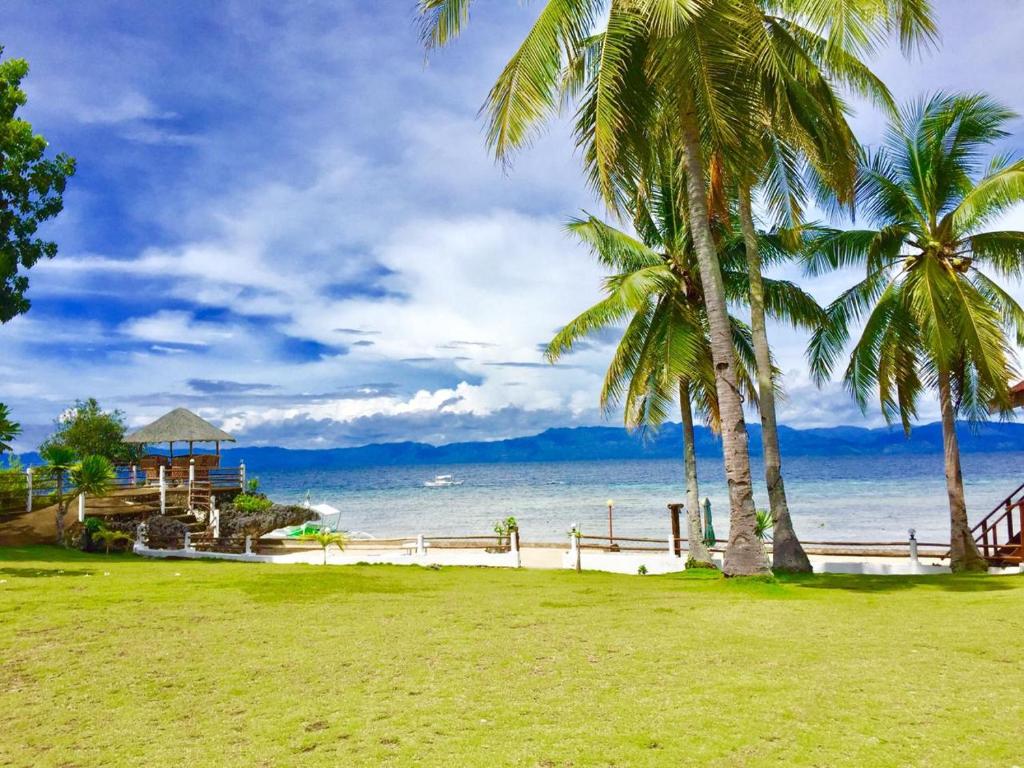 莫阿尔博阿Tauig Beach Resort的海滩上的一棵棕榈树